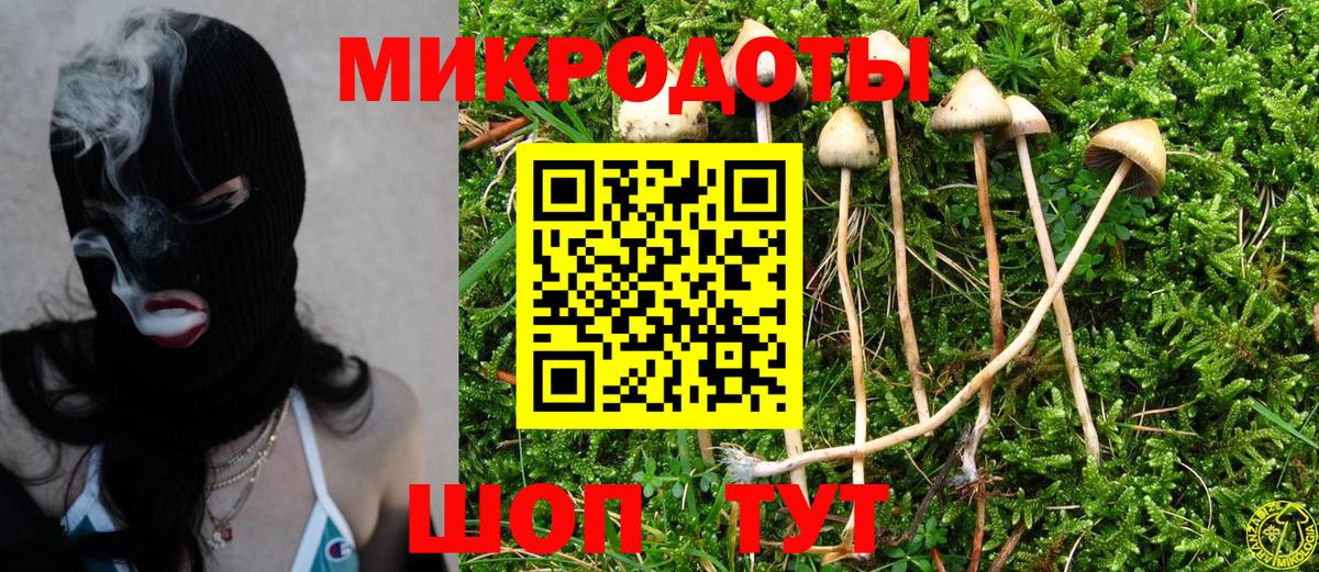 Псилоцибиновые грибы мицелий Боровичи