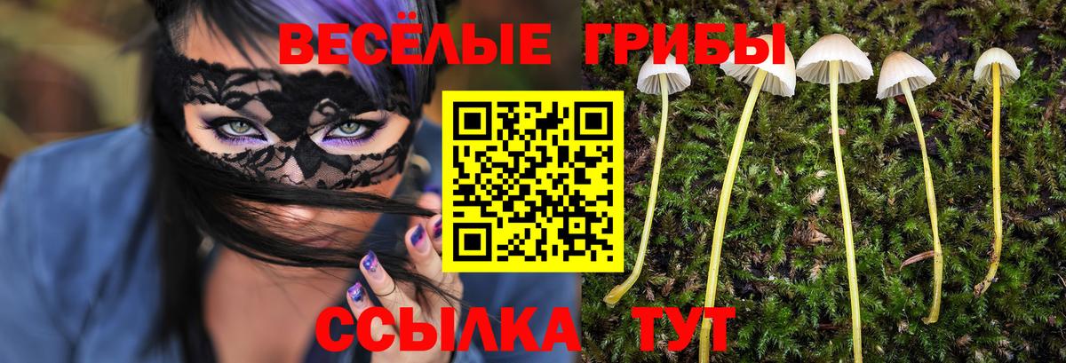где можно купить   Вход с VPN  Псилоцибиновые грибы Psilocybe  Боровичи  Псилоцибиновые грибы мухоморы 